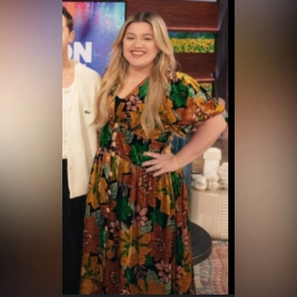 NWT Farm Rio||Garden Velvet MIDI Dress. As seen on Kelly Clarkson. Daisy… - Picture 7 of 16